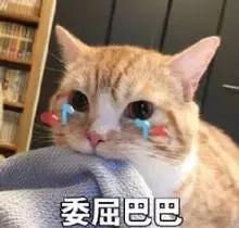 飞絮;过敏;花粉;柳絮