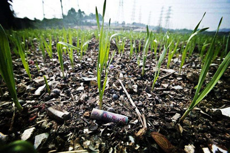 废旧充电宝;废旧电池;充电宝;环境污染;有害垃圾
