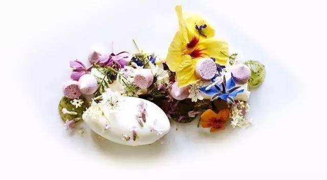 赏花;吃花;春季;可食用花卉;春季养生;美食