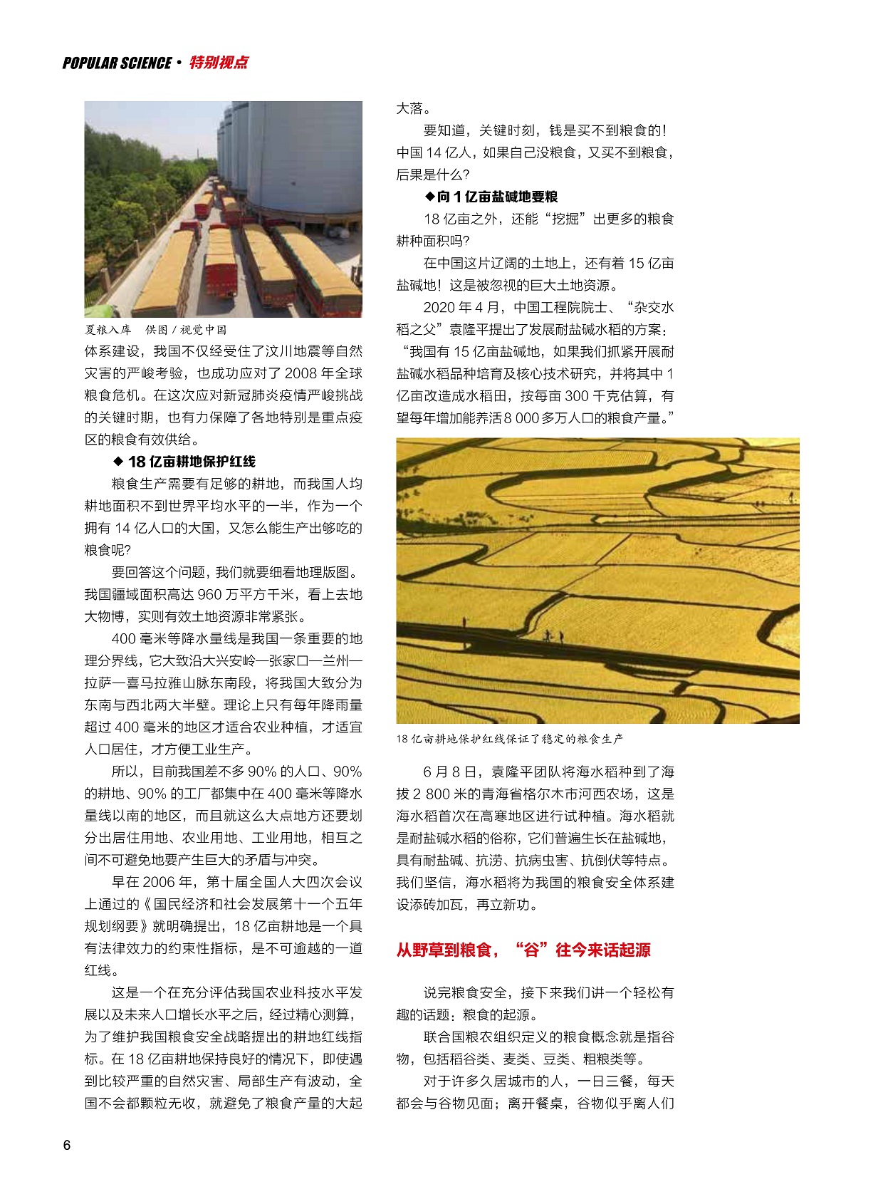 粮食;大米;水稻;小米