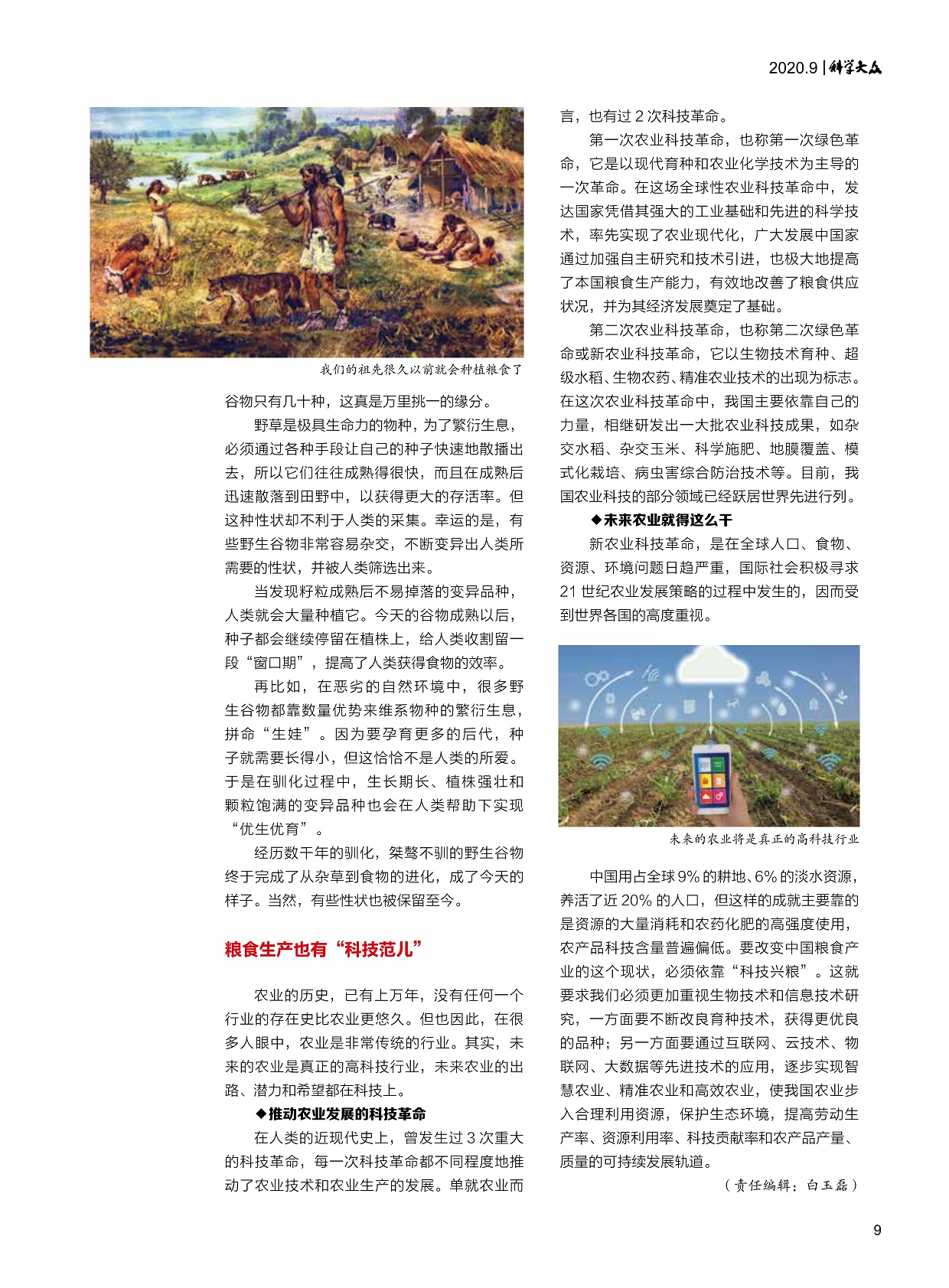 粮食;大米;水稻;小米