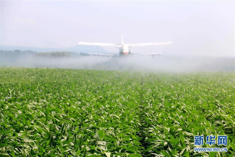 大暑,大暑都有什么特点,大暑时节的疫病预防