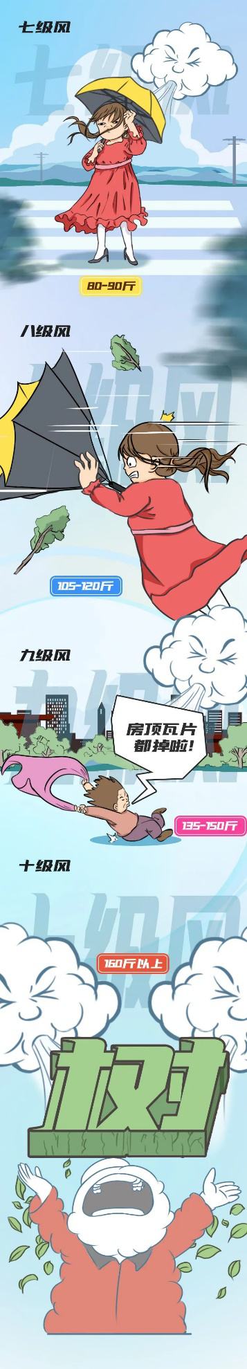 台风;级别;体重