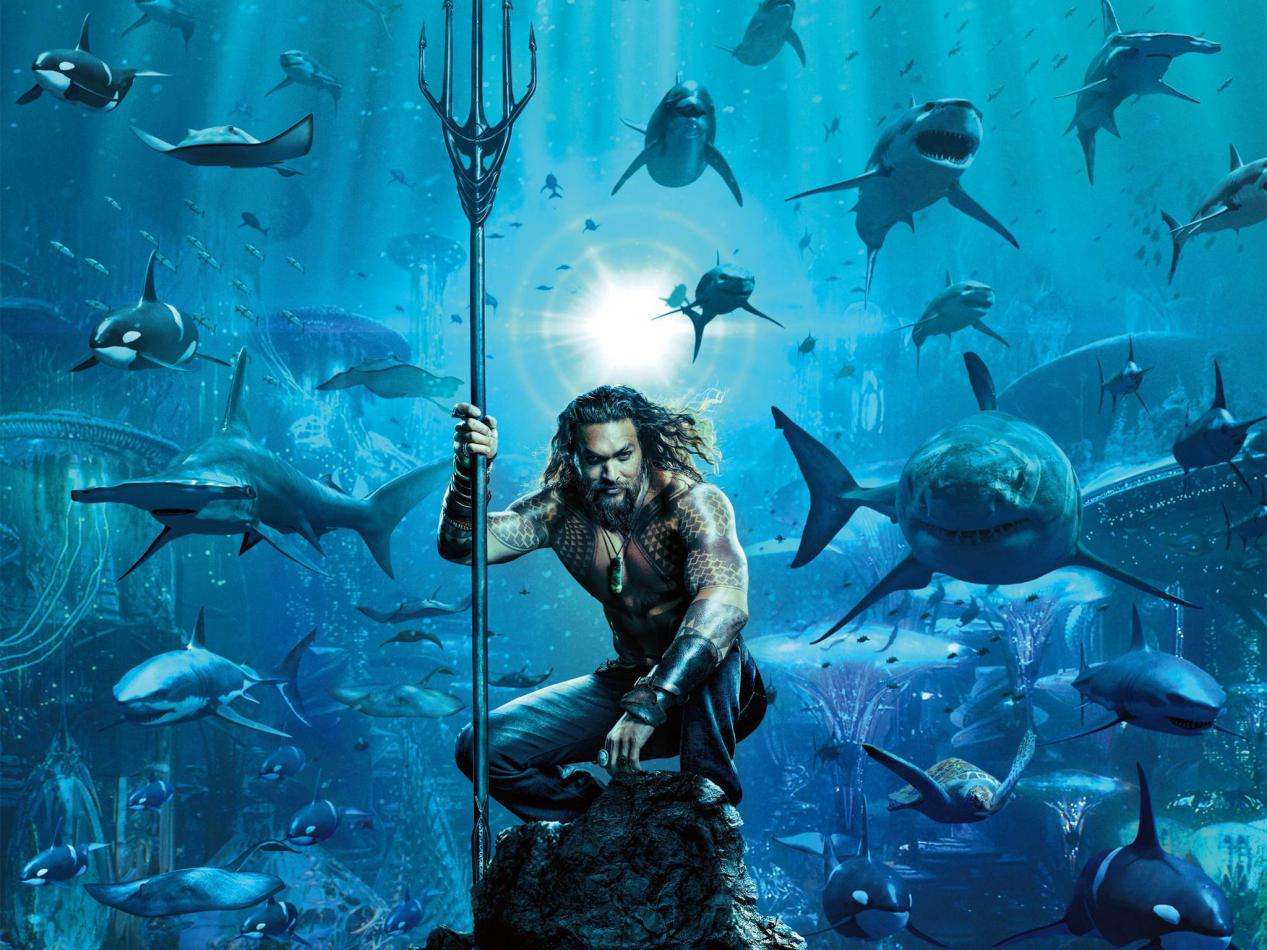 台风;海底;营养