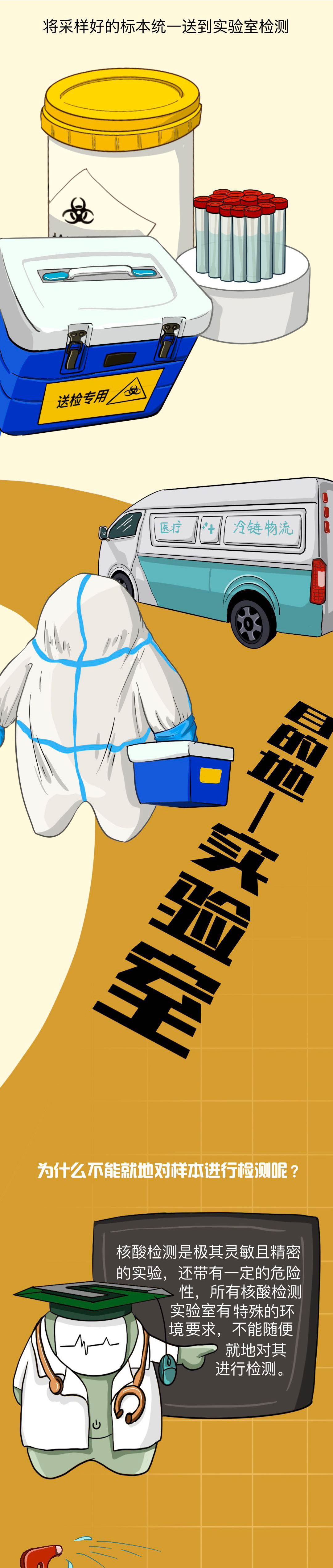 核酸检测,核酸报告,核酸报告单是怎么来的