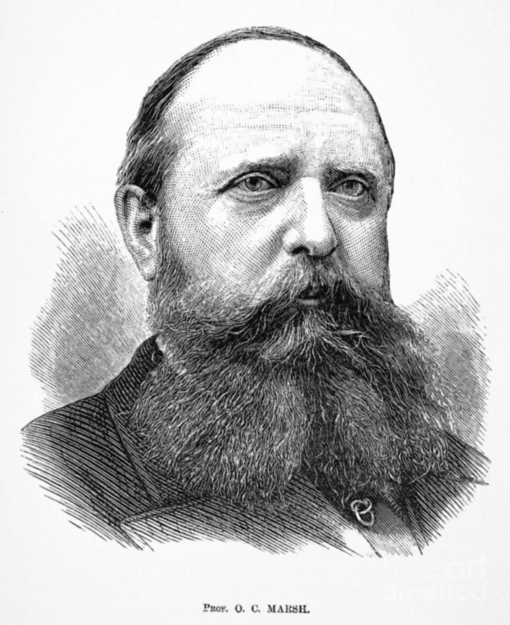 雷龙的命名者马什