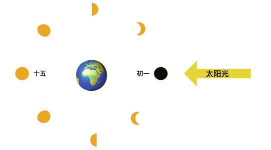 月相变化图