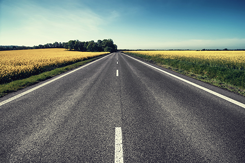 王基铭院士 王基铭院士