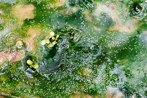 全球变暖;水何以堪;水资源