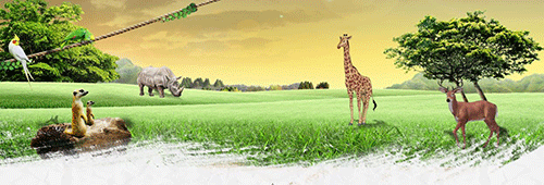 人与动物;和谐相处;荒野 人与动物;和谐相处;荒野