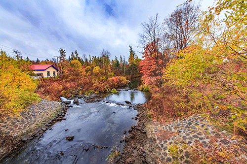 土壤;自然资源;生态功能