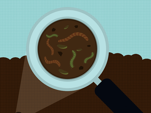 土壤;自然资源;生态功能