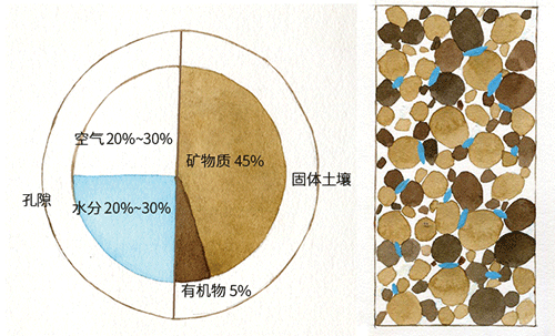 土壤;自然资源;生态功能