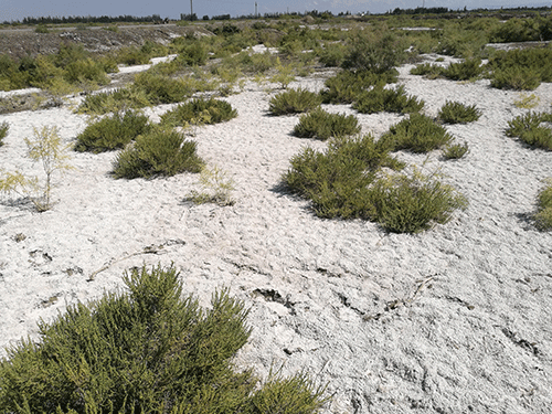 土壤;自然资源;生态功能