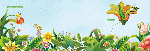 蜜蜂;农业生态系统