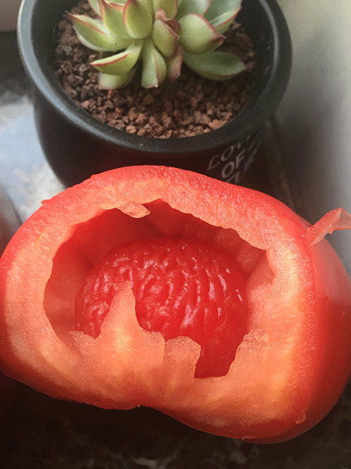 蜜蜂;农业生态系统