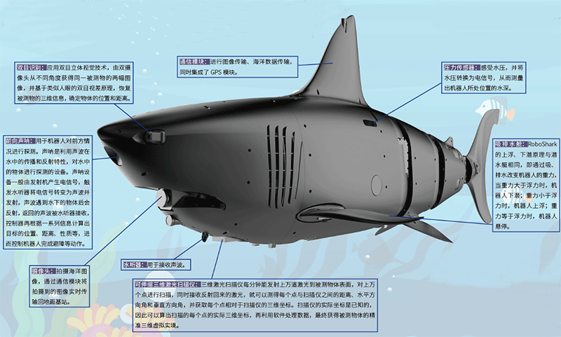 深海探索;仿生海洋机器人 深海探索;仿生海洋机器人