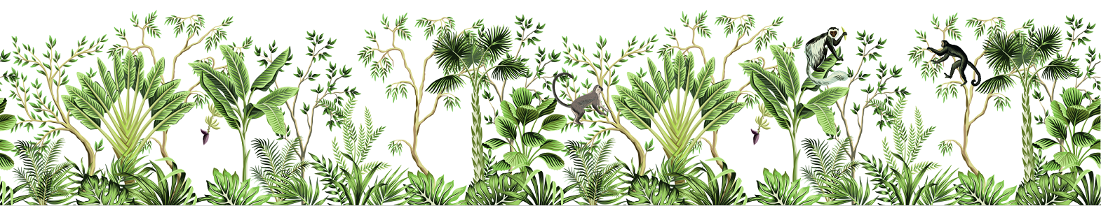 热带雨林;生命宝库