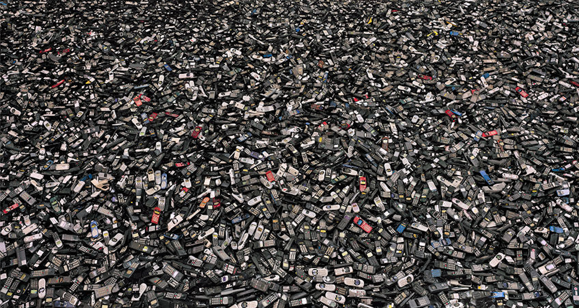 雨林;热带雨林;森林生态系统 雨林;热带雨林;森林生态系统