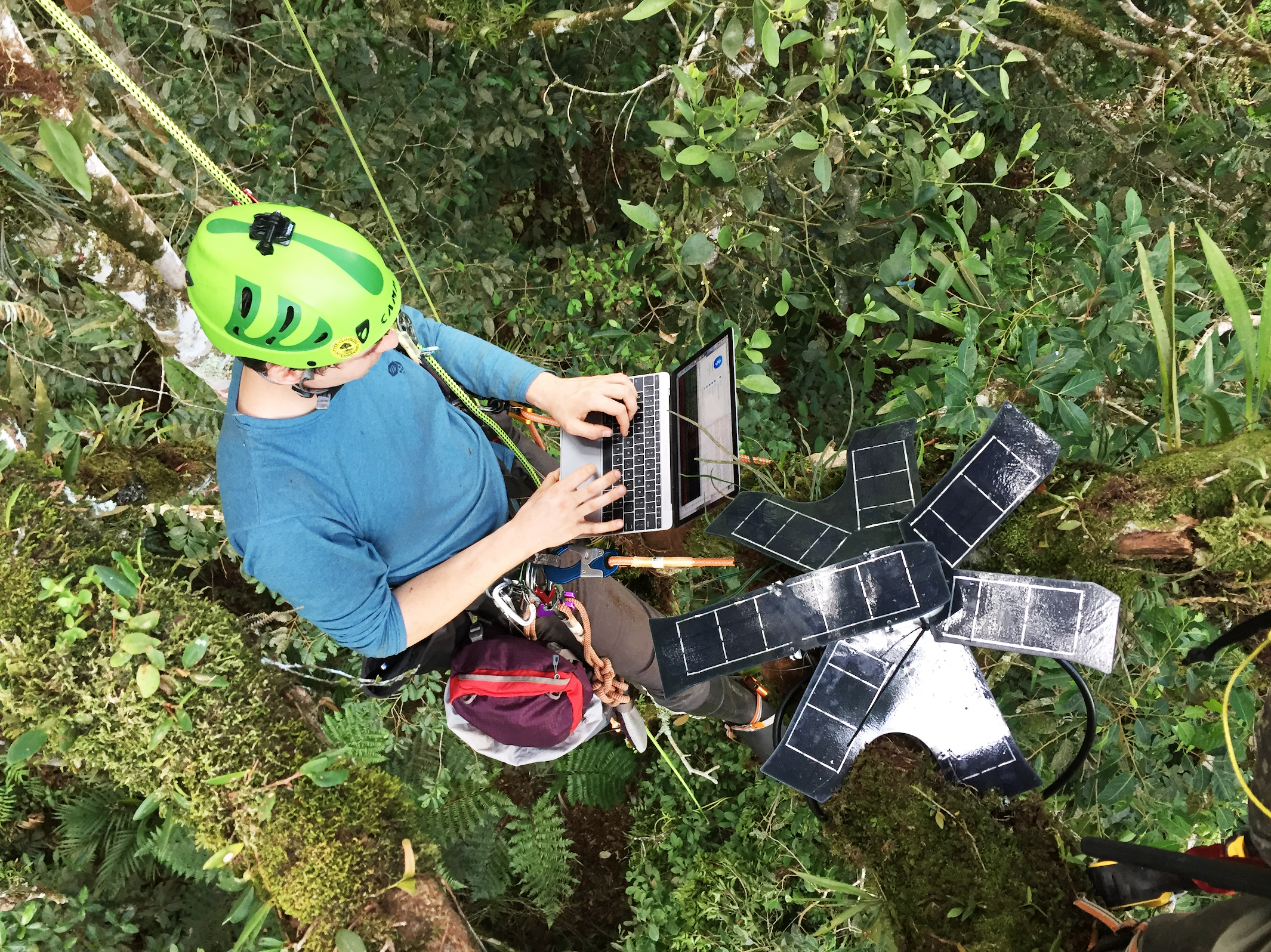 雨林;热带雨林;森林生态系统 雨林;热带雨林;森林生态系统