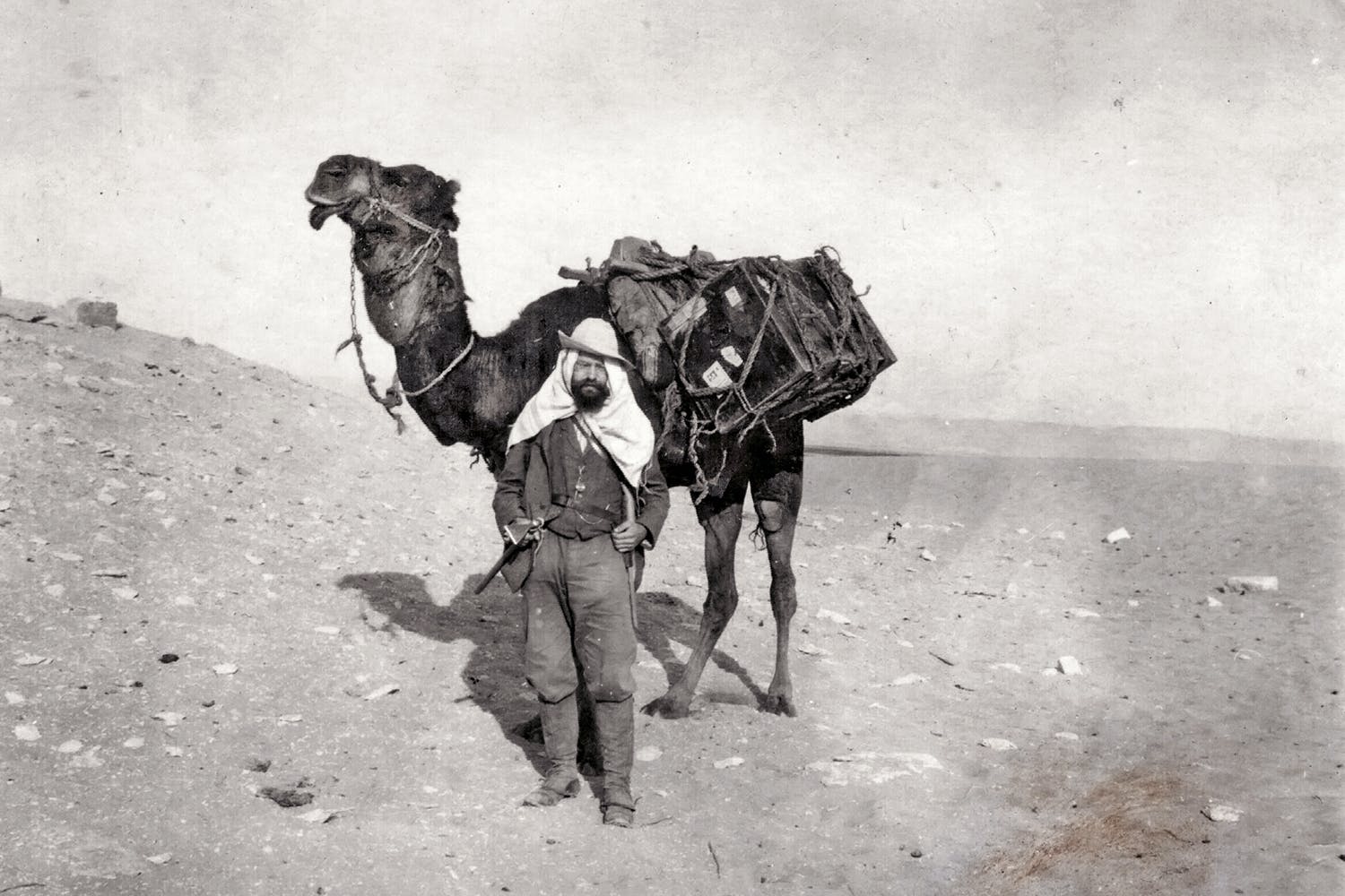 棘龙;恐龙;棘龙生活