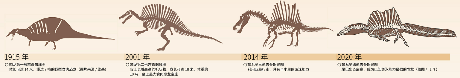 棘龙;恐龙;棘龙生活