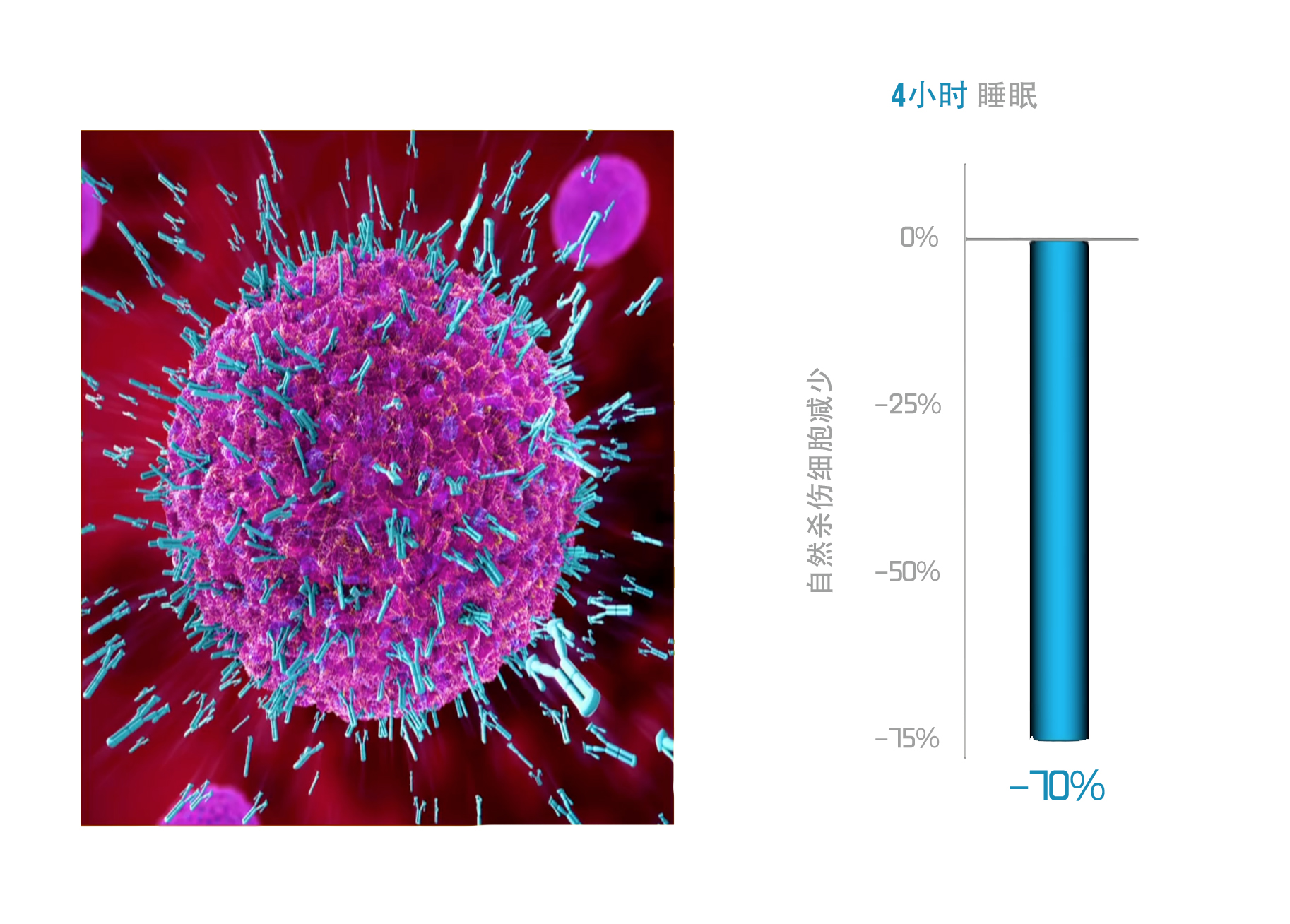 睡;睡眠;睡眠不足