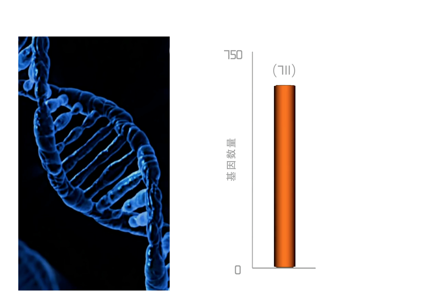 睡;睡眠;睡眠不足