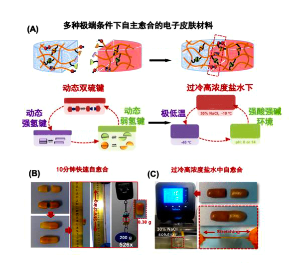 电子皮肤;艾米·穆林斯 电子皮肤;艾米·穆林斯