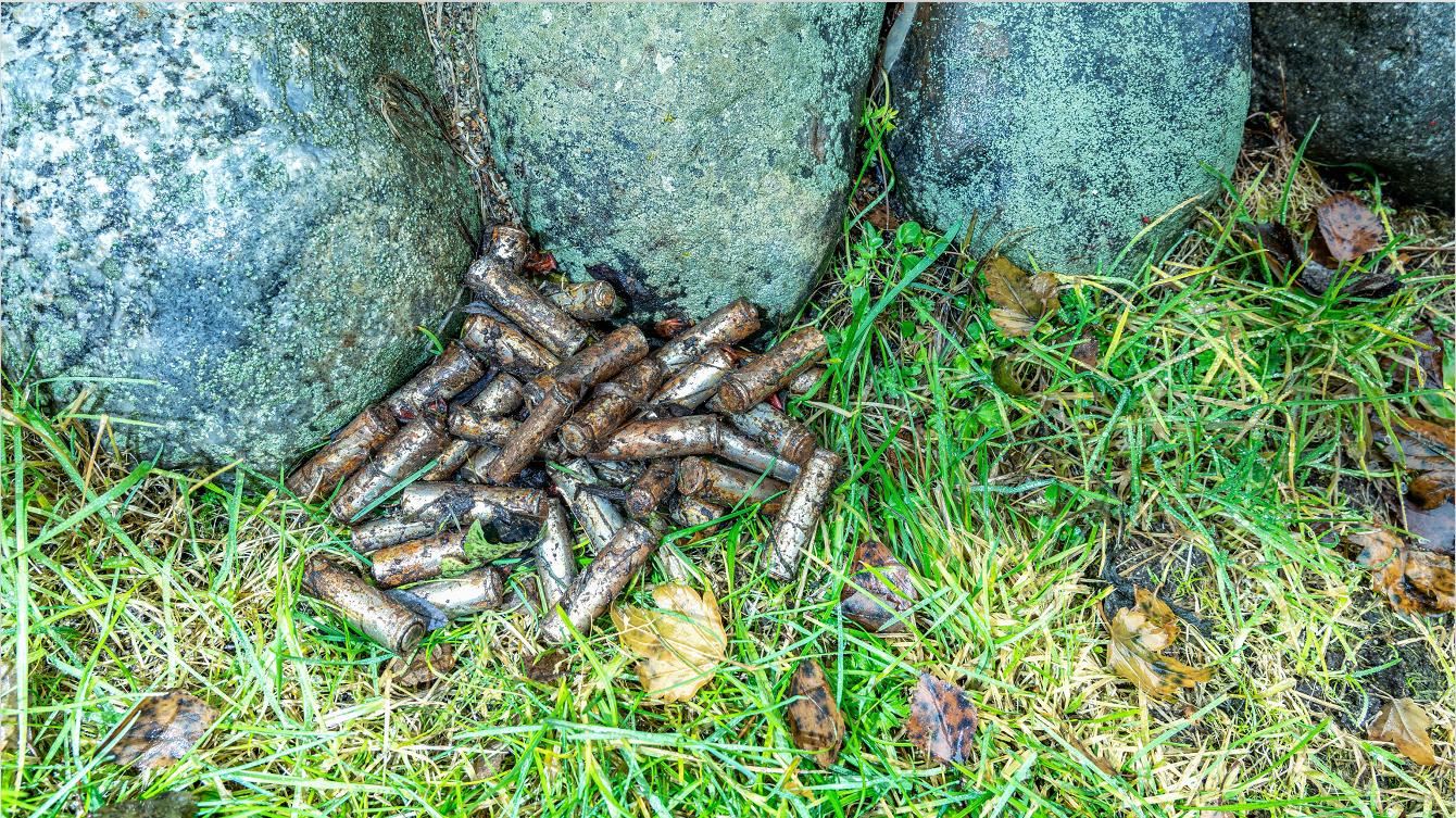 垃圾;中国化学会;垃圾污染