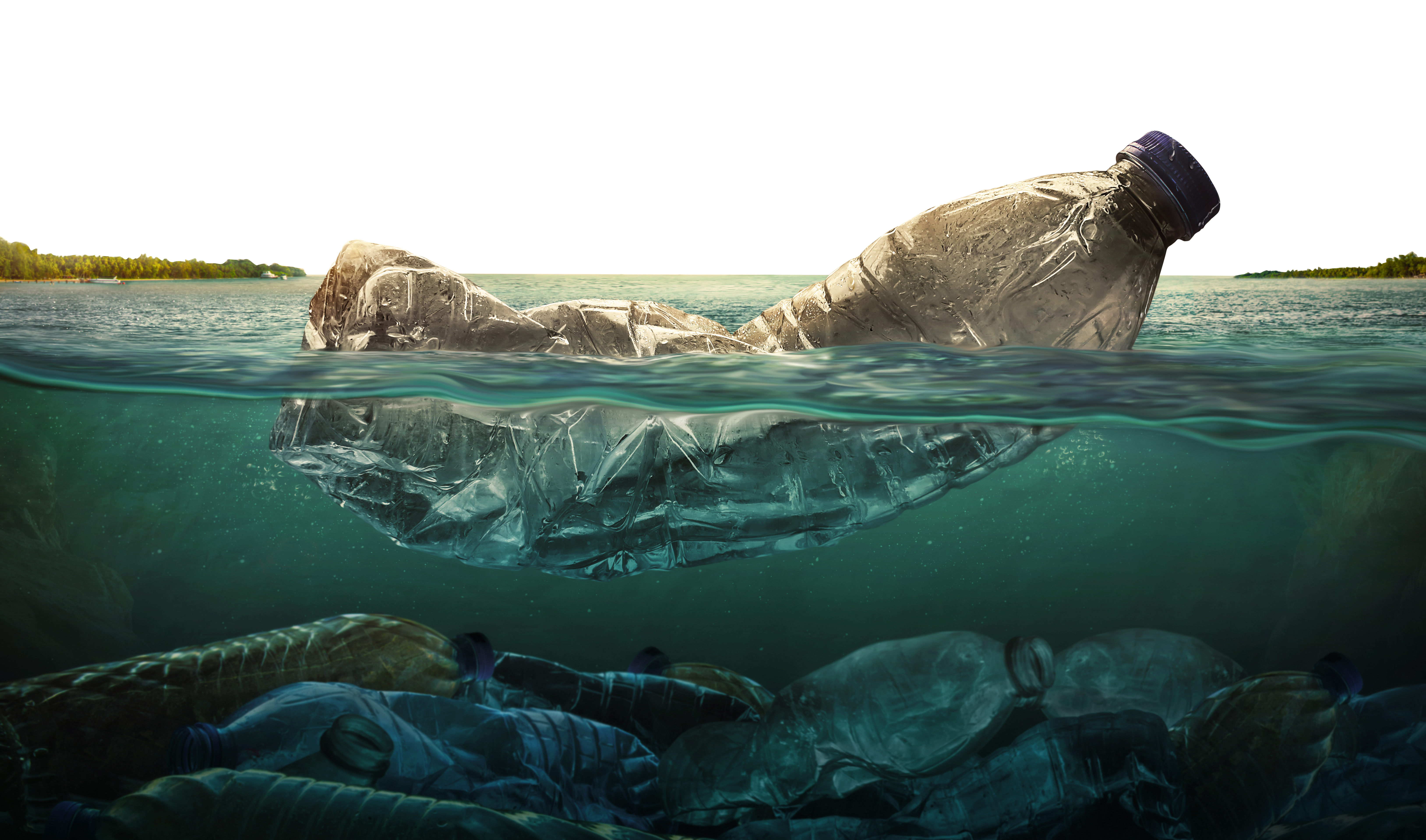 塑料;微塑料污染;海洋 塑料;微塑料污染;海洋