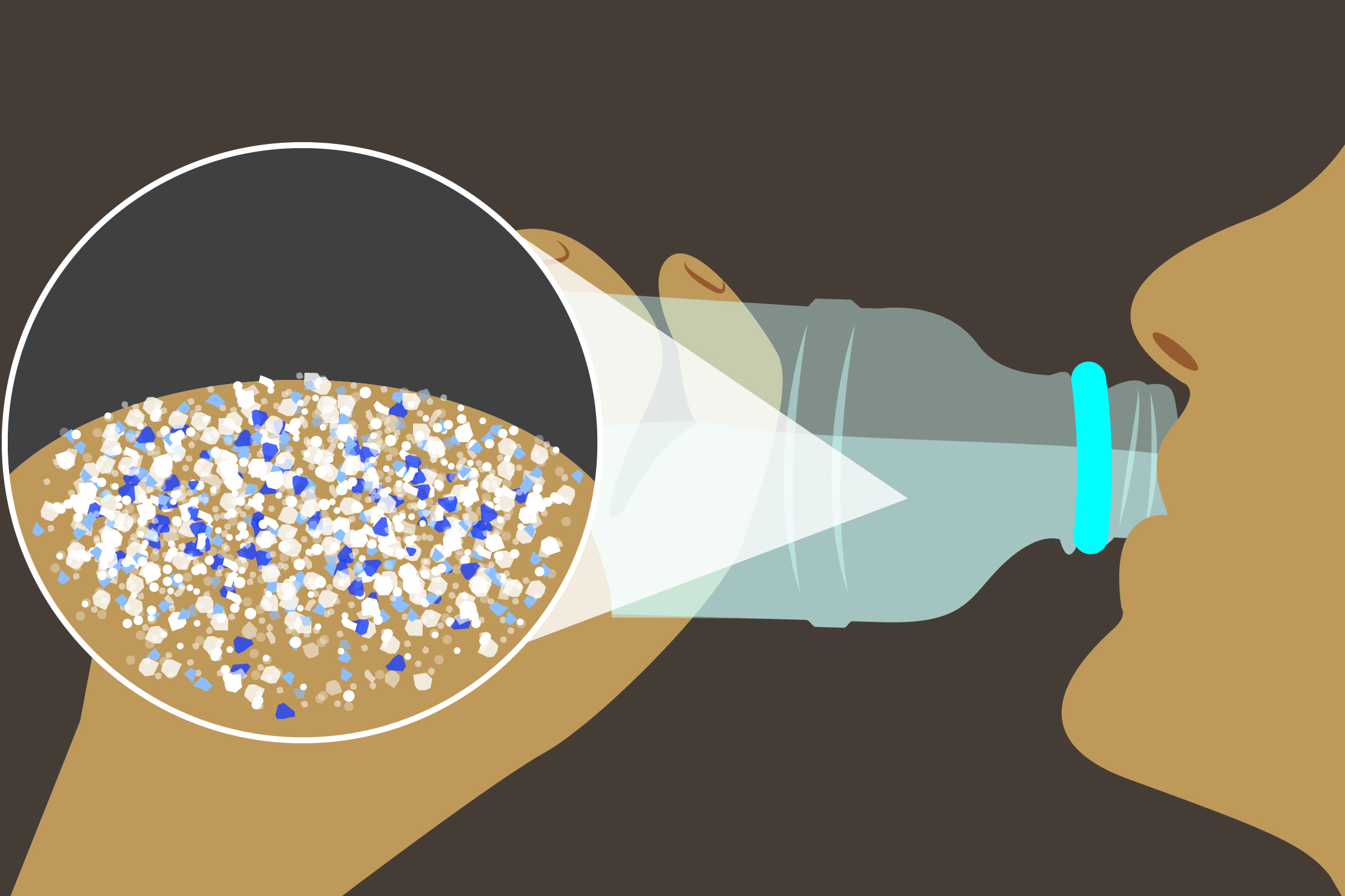 塑料;微塑料污染;海洋 塑料;微塑料污染;海洋