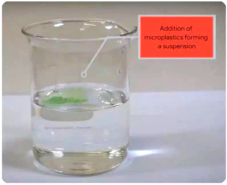 塑料;微塑料污染;海洋 塑料;微塑料污染;海洋