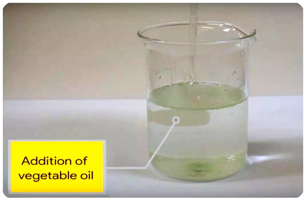 塑料;微塑料污染;海洋 塑料;微塑料污染;海洋