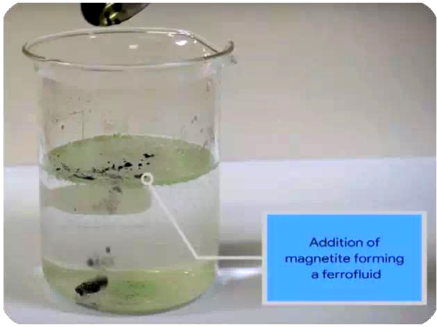 塑料;微塑料污染;海洋 塑料;微塑料污染;海洋