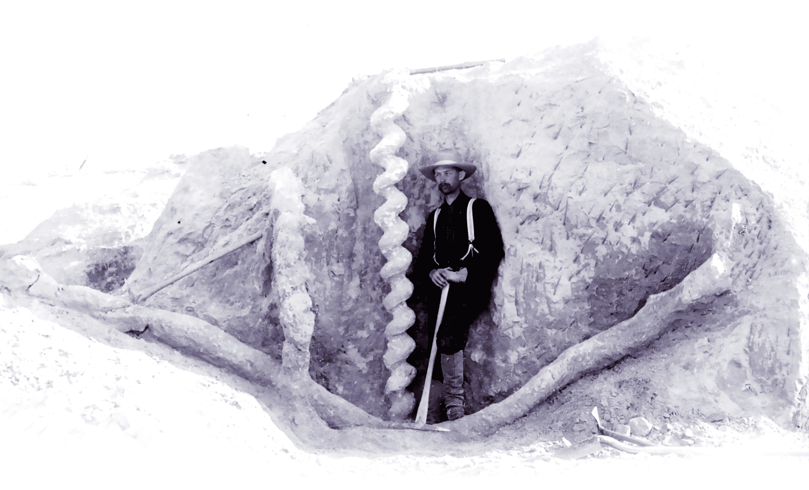 史前河狸;历史;魔鬼的螺旋 史前河狸;历史;魔鬼的螺旋