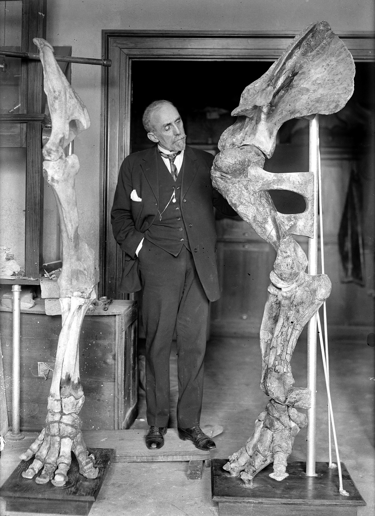 史前河狸;历史;魔鬼的螺旋 史前河狸;历史;魔鬼的螺旋