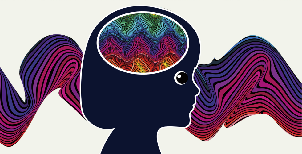 听觉原理;声波 听觉原理;声波