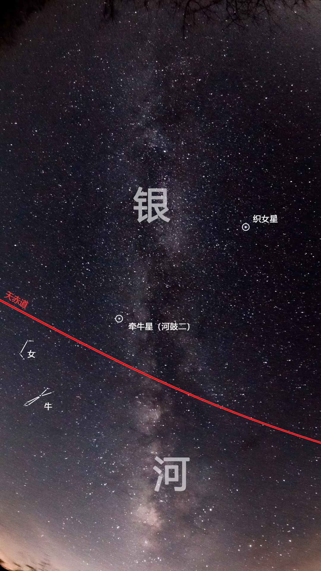 牵牛、织女;牛、女两宿