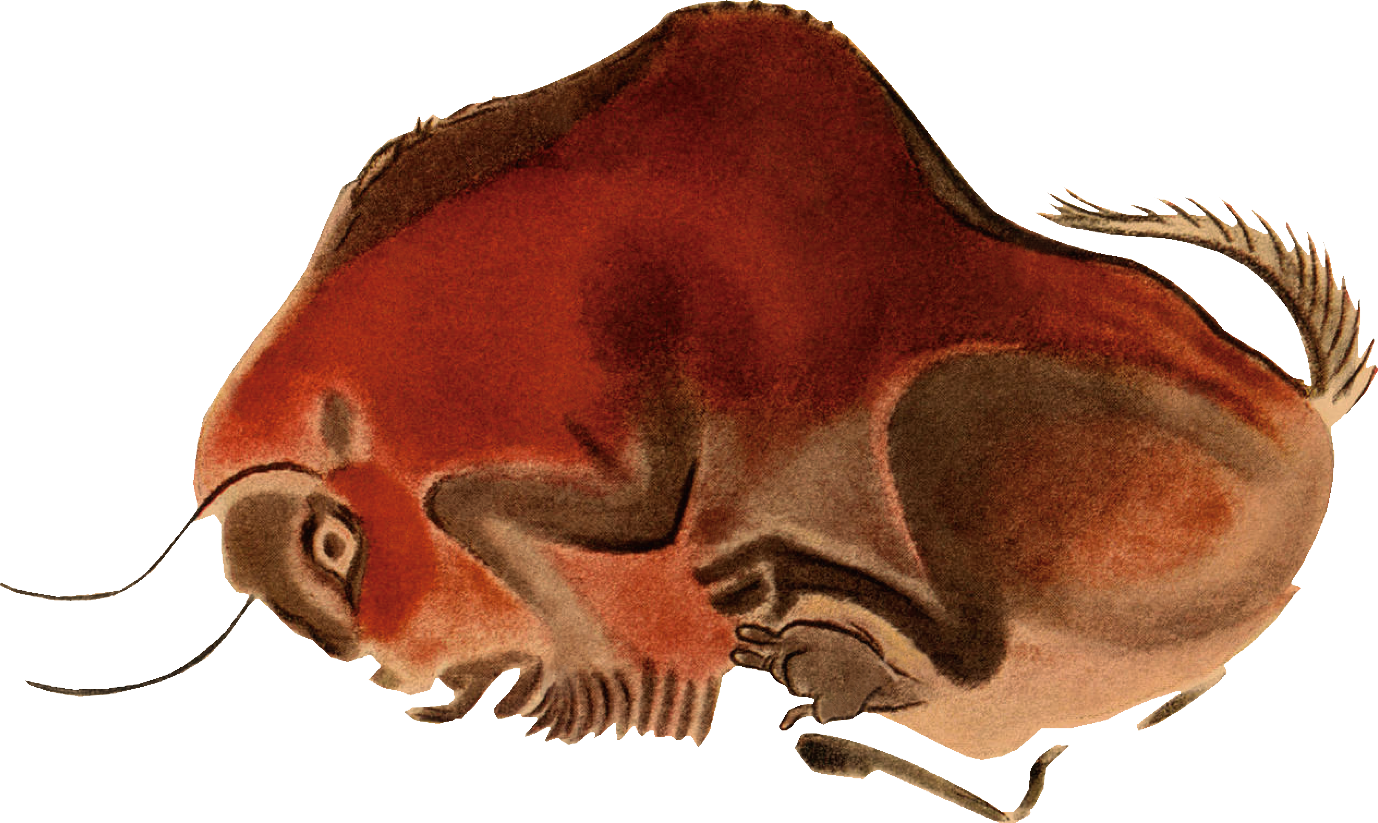 岩画;牛 岩画;牛