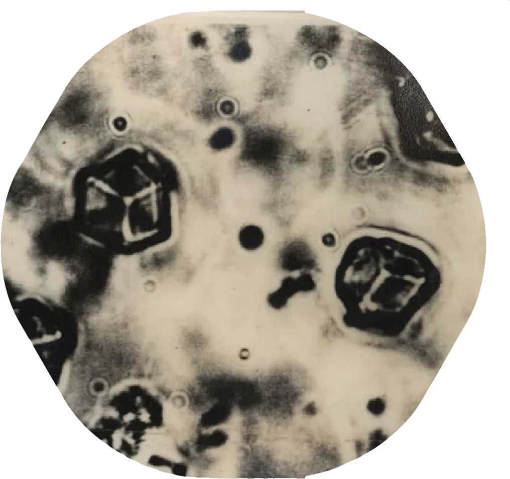 人工合成;牛胰岛素