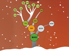 “兔子”和“兔子”一样吗？