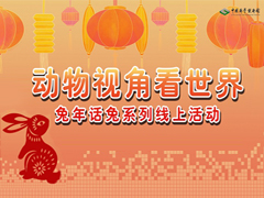 动物视角看世界