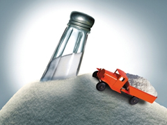 【音频】我们为什么既要吃盐又要控盐？