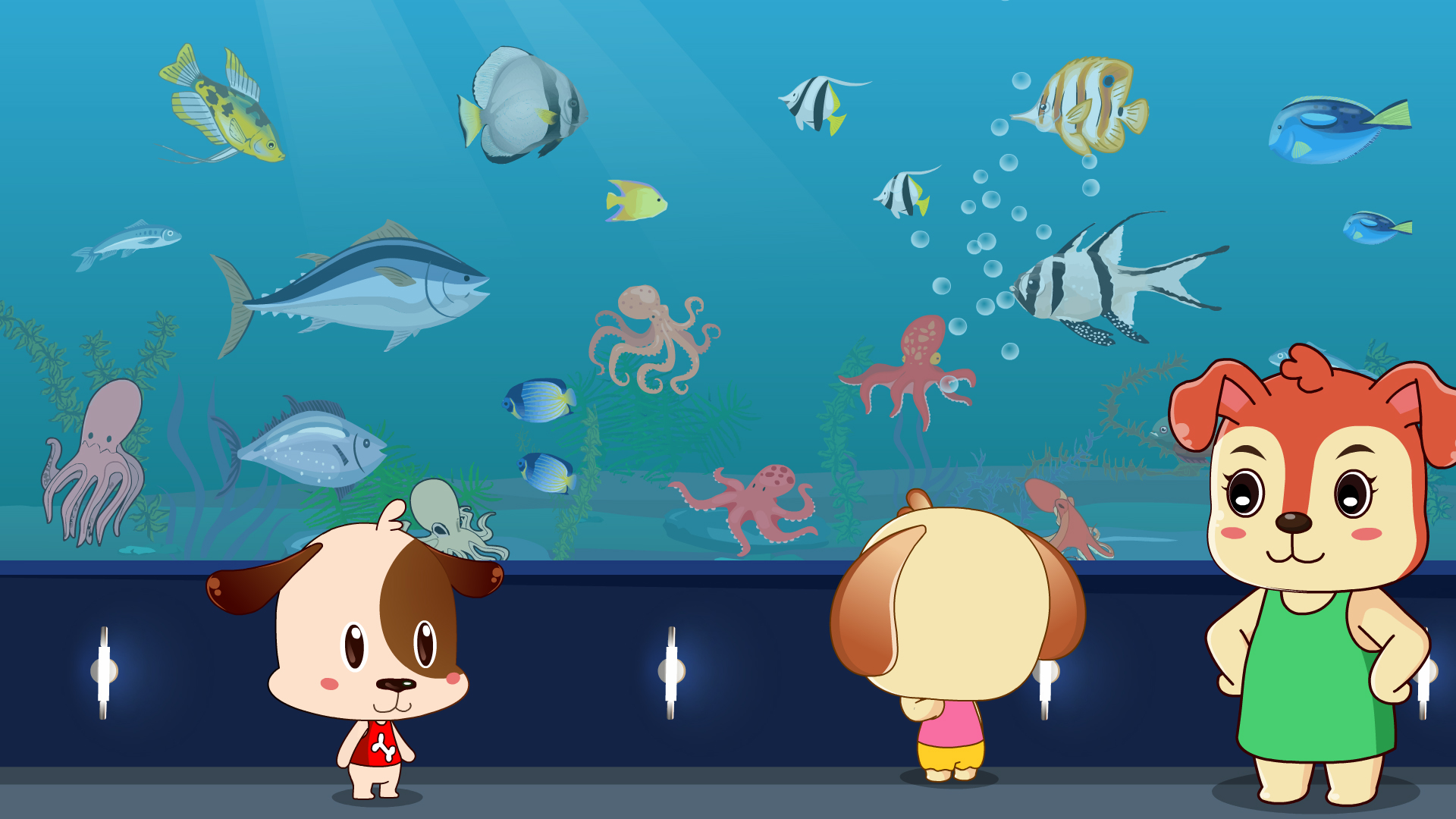 章鱼,吸盘,腔室