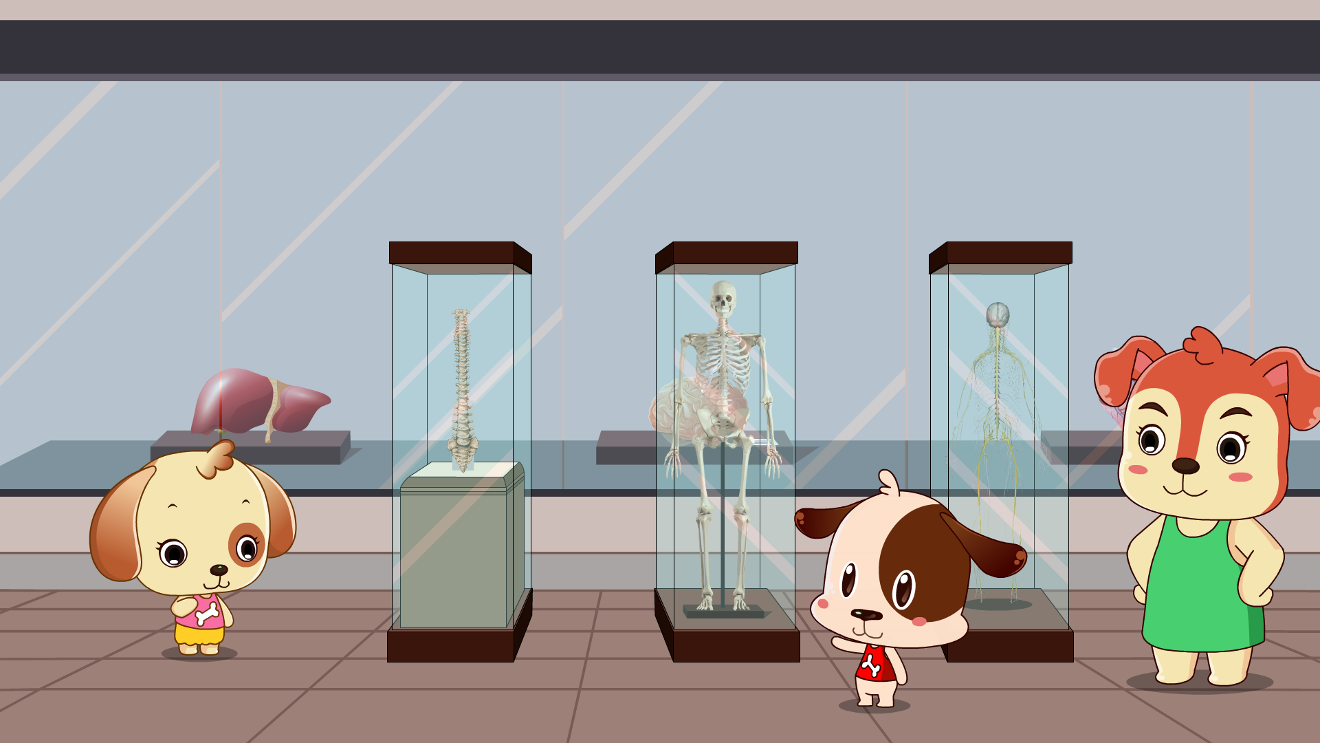 灰质,白质,信息联络