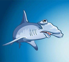 第107集《海洋生物特辑》不停游动的鲨鱼