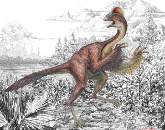 第118期 鸟类和恐龙是亲戚吗？