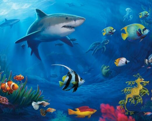 第122集：为什么海洋生物的颜色那么漂亮？