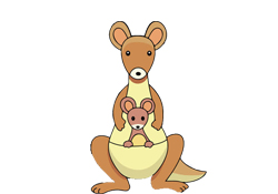 第212集 袋鼠的神秘口袋